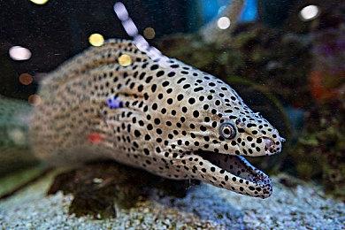 《潜行者2》跳票至2024年Q1 新预告释出