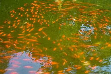 《心灵杀手2》制作总监：游戏采用第三人称视角